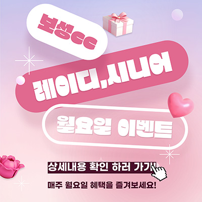 레이디시니어데이